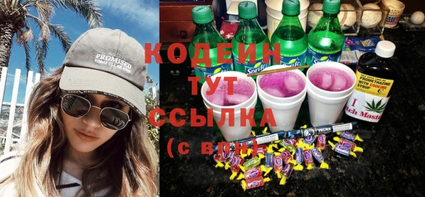 хмурый Арсеньев