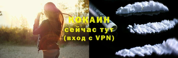 2c-b Мегион