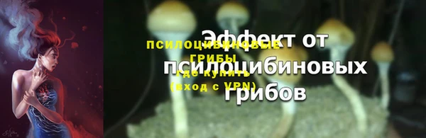 2c-b Мегион
