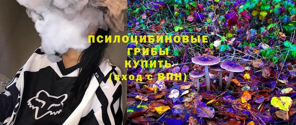 2c-b Медвежьегорск